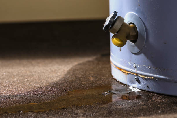 Best Water damage restoration mold remediation  in Camdenton, MO