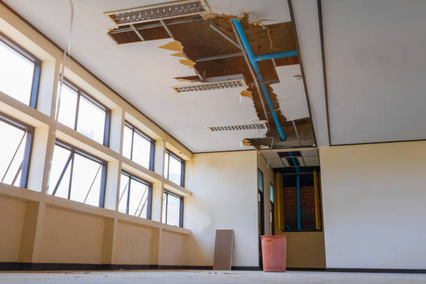 Water damage restoration mold remediation in Camdenton, MO