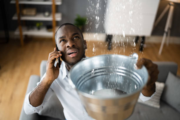 Best Water damage restoration services  in Camdenton, MO