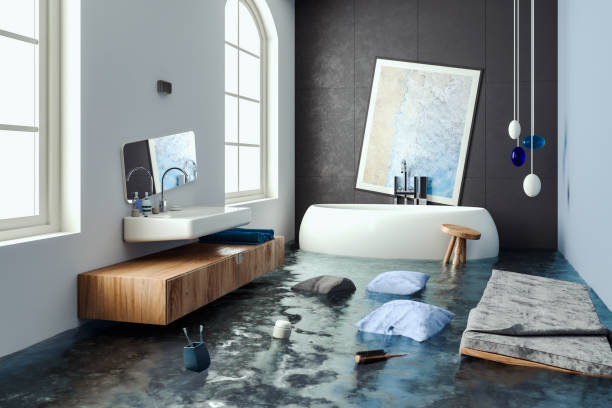 Best Flooded house restoration  in Camdenton, MO