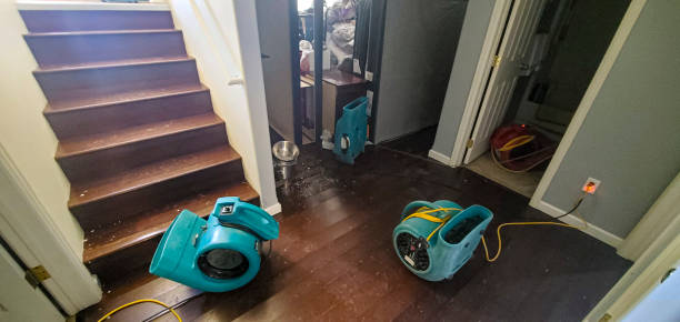 Best 24-hour water damage restoration  in Camdenton, MO