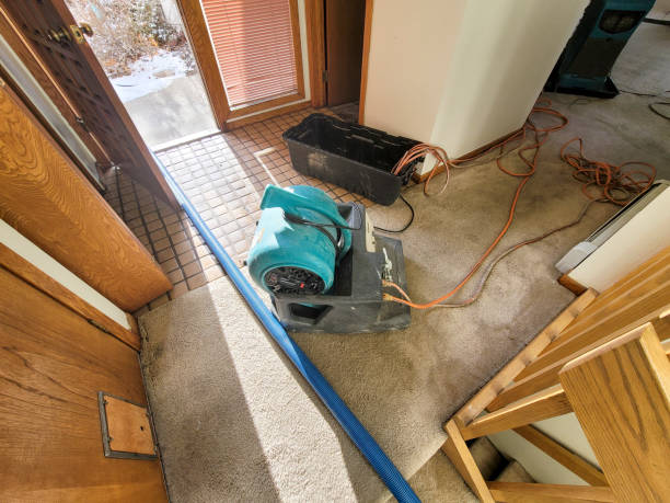 Best Water damage contractors near me  in Camdenton, MO