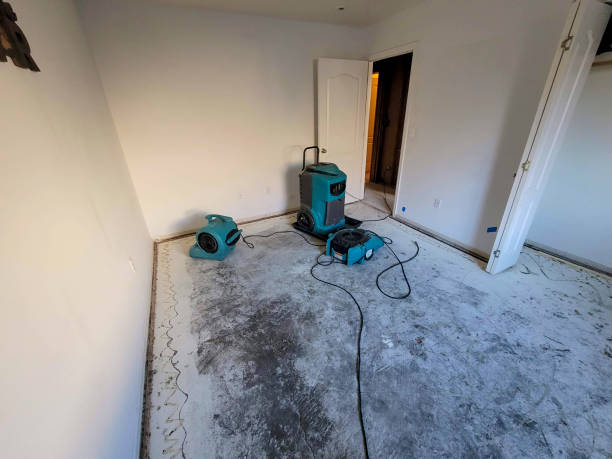 Best Ceiling water damage repair  in Camdenton, MO