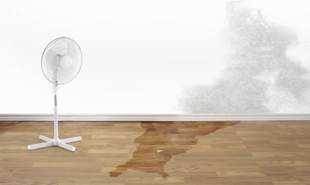 Water damage restoration experts in Camdenton, MO