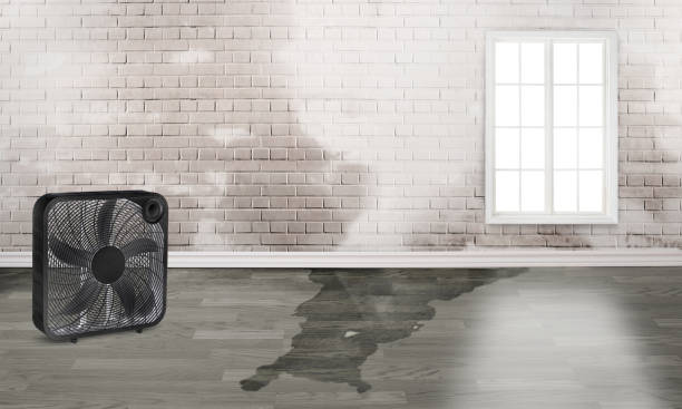 Best Commercial water damage restoration  in Camdenton, MO