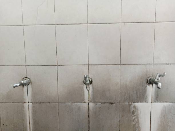 Best Local water damage restoration  in Camdenton, MO